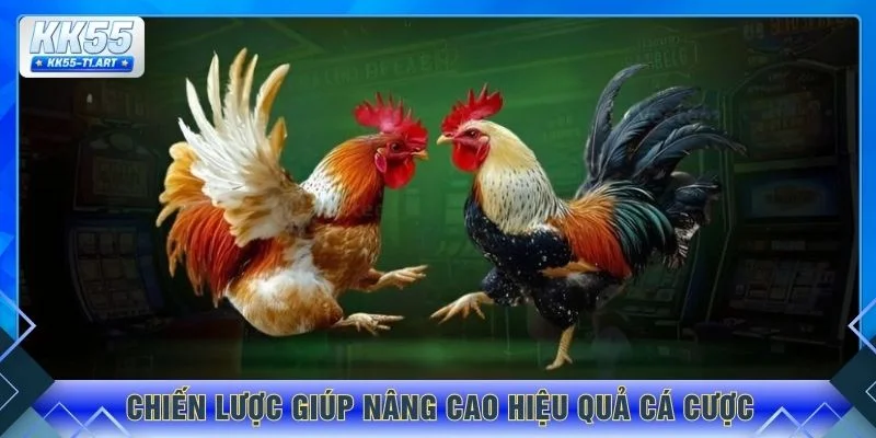 Chiến lược giúp nâng cao hiệu quả cá cược